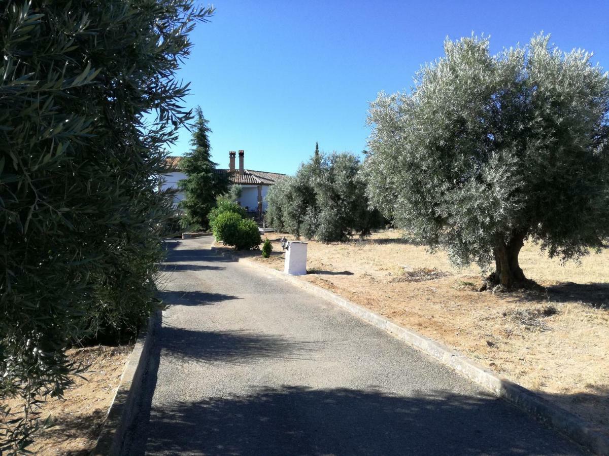 הוילה Burguillos de Toledo Casa Rural La Amistad מראה חיצוני תמונה